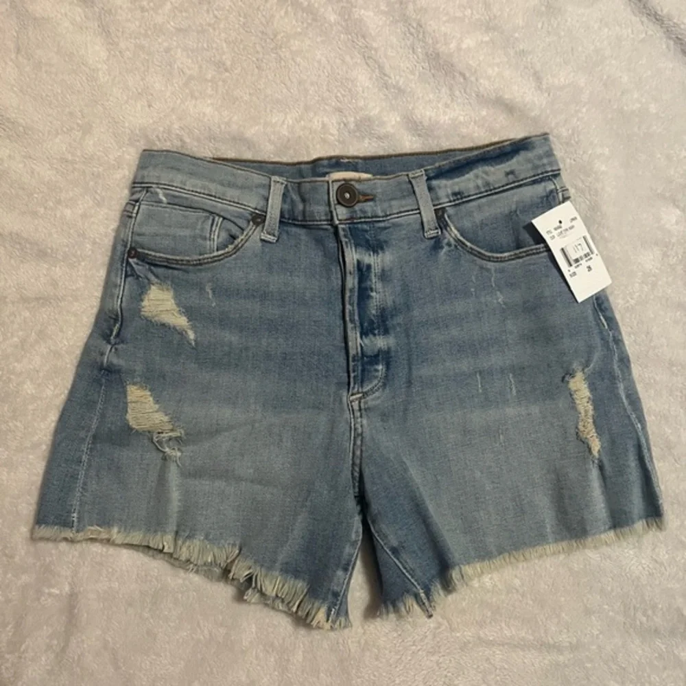 Edyson Distressed Denim Shorts